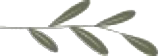 kladi